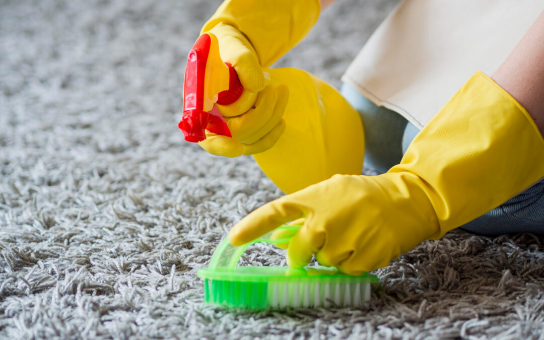 Eco-Friendly Carpet Cleaning Solutions